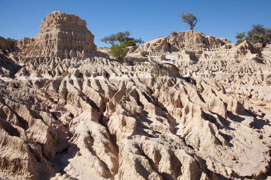 Mungo Lodge Kültér fotó